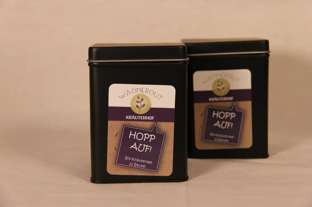 Hopp auf! Teebeutel BIO 12 Stk.