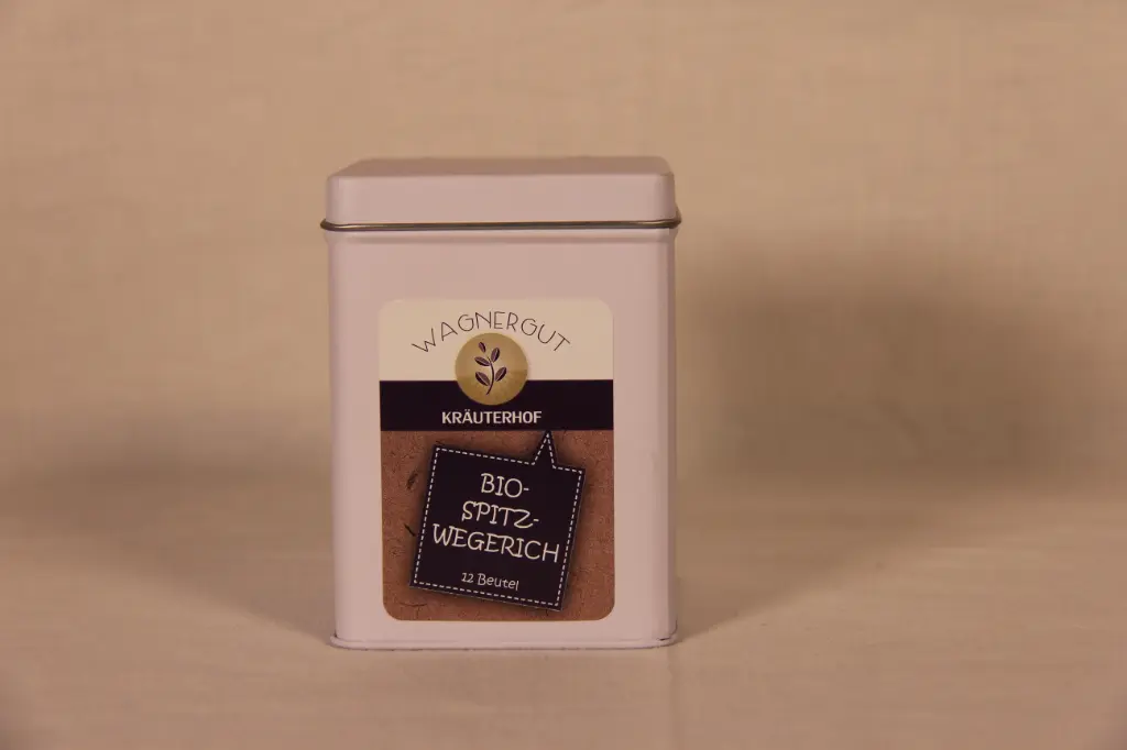 Spitzwegerich Teebeutel BIO 12 Stk.