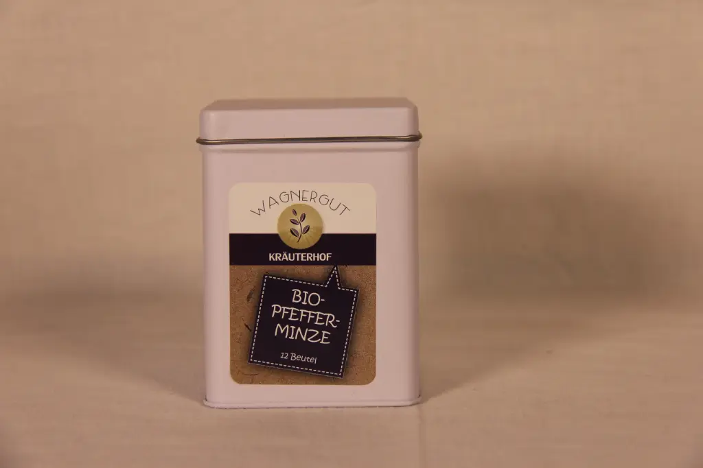 Pfefferminze Teebeutel BIO 12 Stk. 