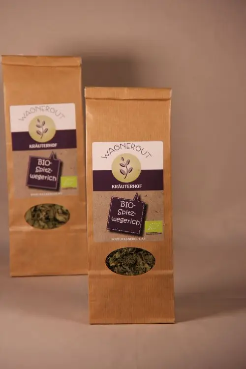 Spitzwegerichtee BIO